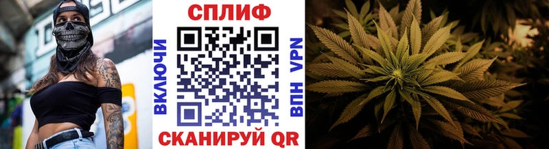Где купить наркоту Высоцк Гашиш Бошки Шишки Метамфетамин Меф КОКАИН OMG как войти СОЛЬ