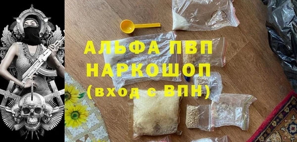 хмурый Богородск