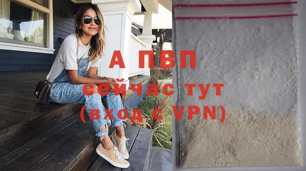 хмурый Богородск