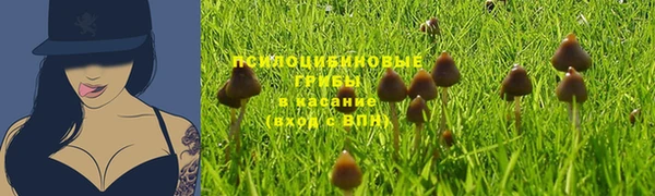 хмурый Богородск