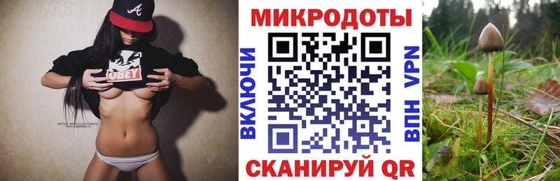закладки  Высоцк  Галлюциногенные грибы MAGIC MUSHROOMS 